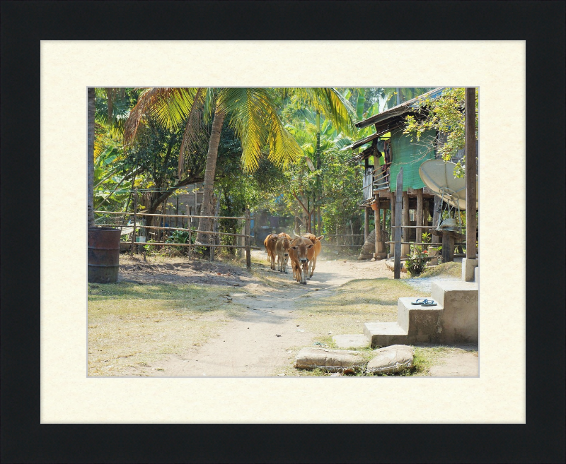 Ile de KHONG in Laos - Great Pictures Framed