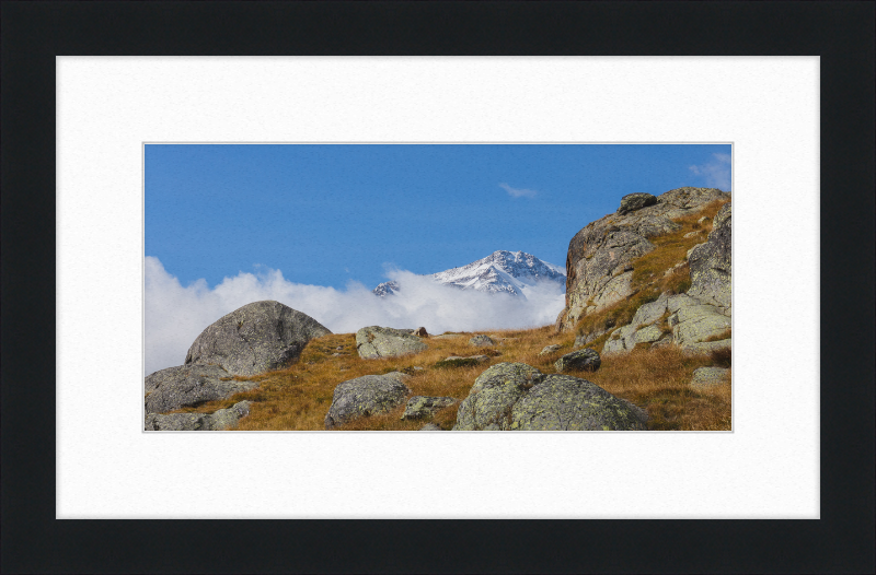 Views of Monte Cevedale - Great Pictures Framed