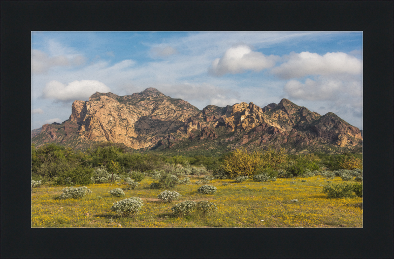 San Carlos Sonora Landscape - Great Pictures Framed