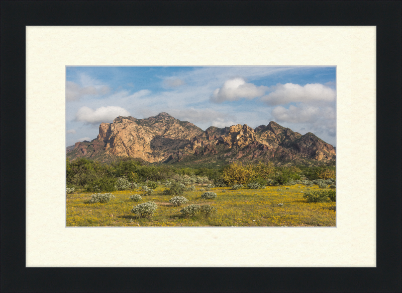 San Carlos Sonora Landscape - Great Pictures Framed