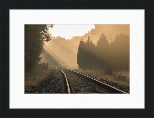 A Track in Börnste - Great Pictures Framed