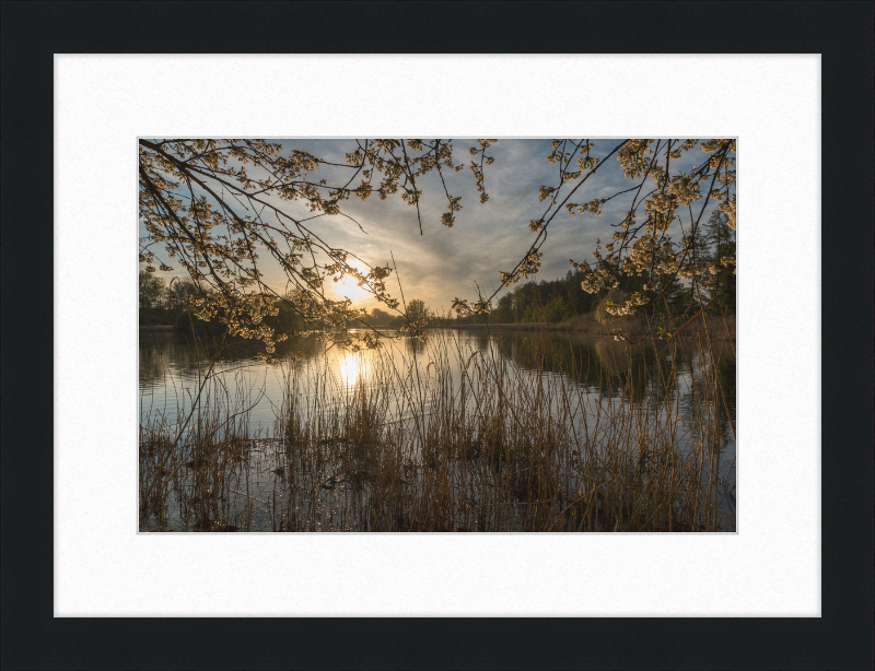 Oedlerteich in Kirchspiel, Dülmen - Great Pictures Framed