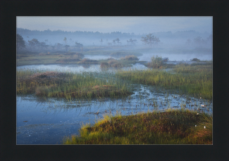 Riisa Bog in the Early Morning - Great Pictures Framed