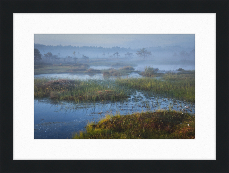 Riisa Bog in the Early Morning - Great Pictures Framed