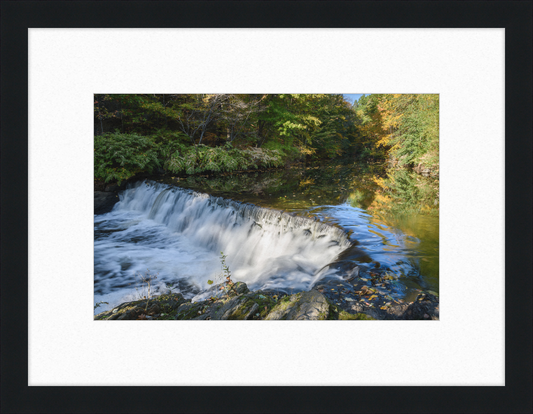 New York Botanical Garden - Great Pictures Framed