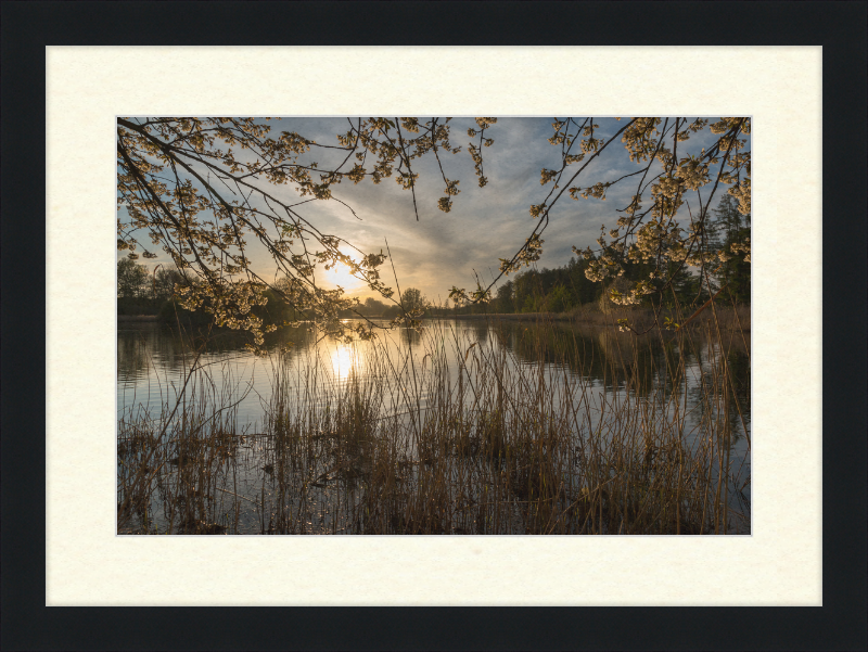 Oedlerteich in Kirchspiel, Dülmen - Great Pictures Framed