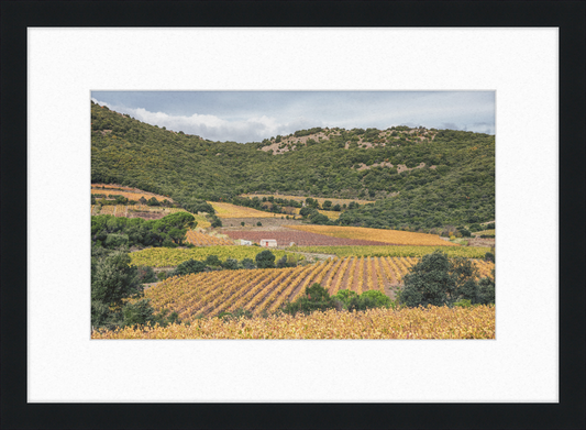 Vineyards Near the Pic de Vissou - Great Pictures Framed