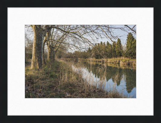Canal du Midi - Great Pictures Framed
