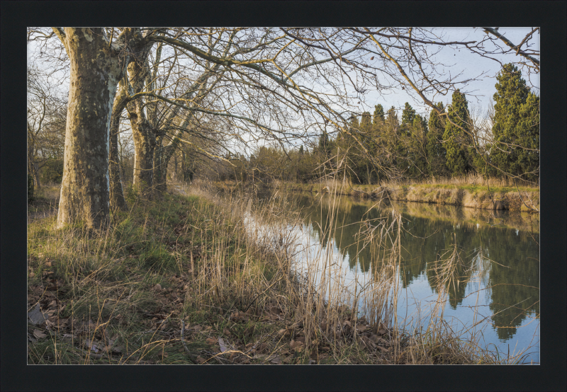 Canal du Midi - Great Pictures Framed