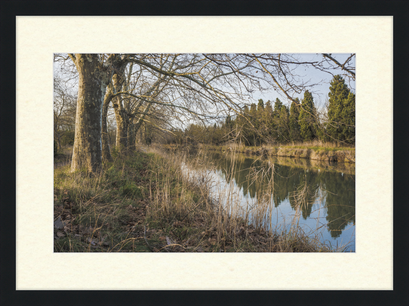 Canal du Midi - Great Pictures Framed