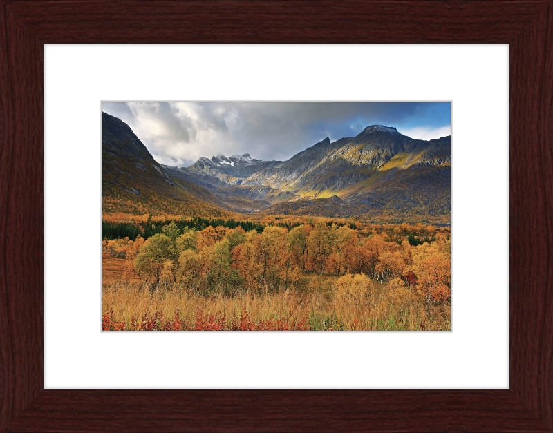 Autumn Landscape near Gullesfjordbotn, Hinnøya - Great Pictures Framed