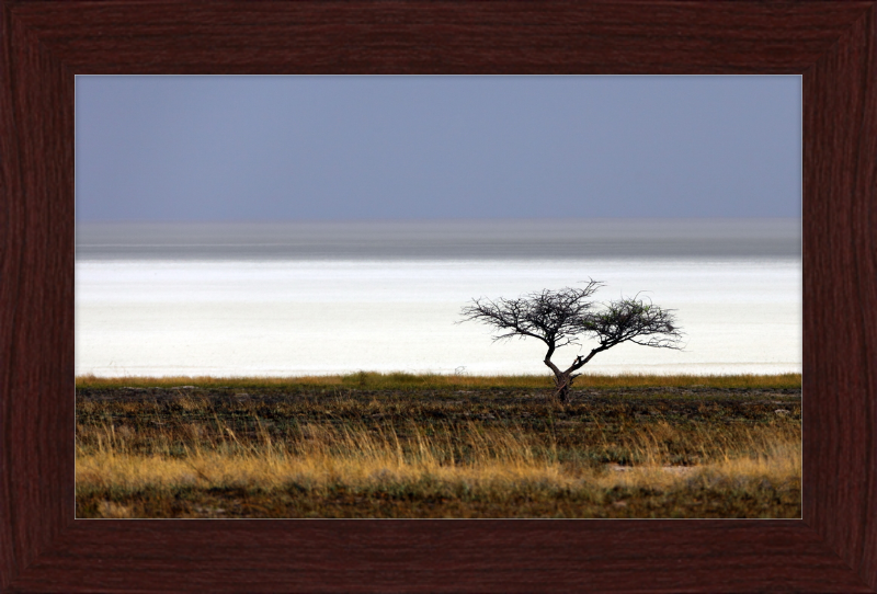 Namibia's Dry Etosha Pan - Great Pictures Framed