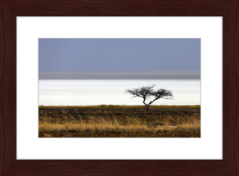 Namibia's Dry Etosha Pan - Great Pictures Framed