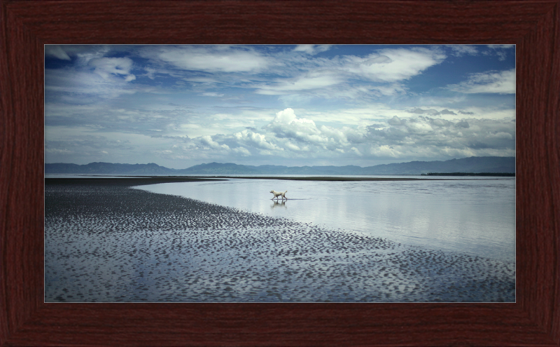 Seascape in Mindanao, Philippines, At Low Tide - Great Pictures Framed