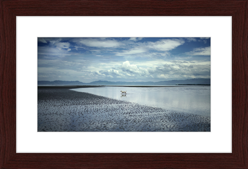 Seascape in Mindanao, Philippines, At Low Tide - Great Pictures Framed