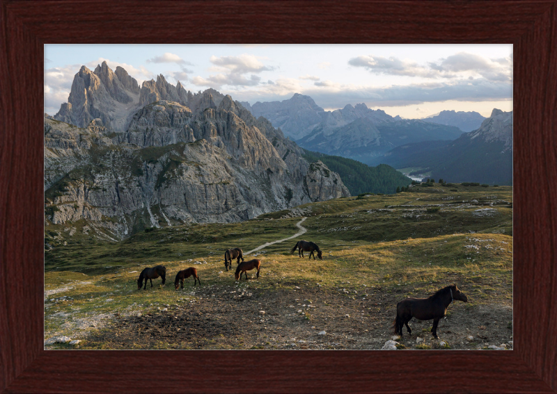 Parco Naturale Tre Cime with Horses - Great Pictures Framed