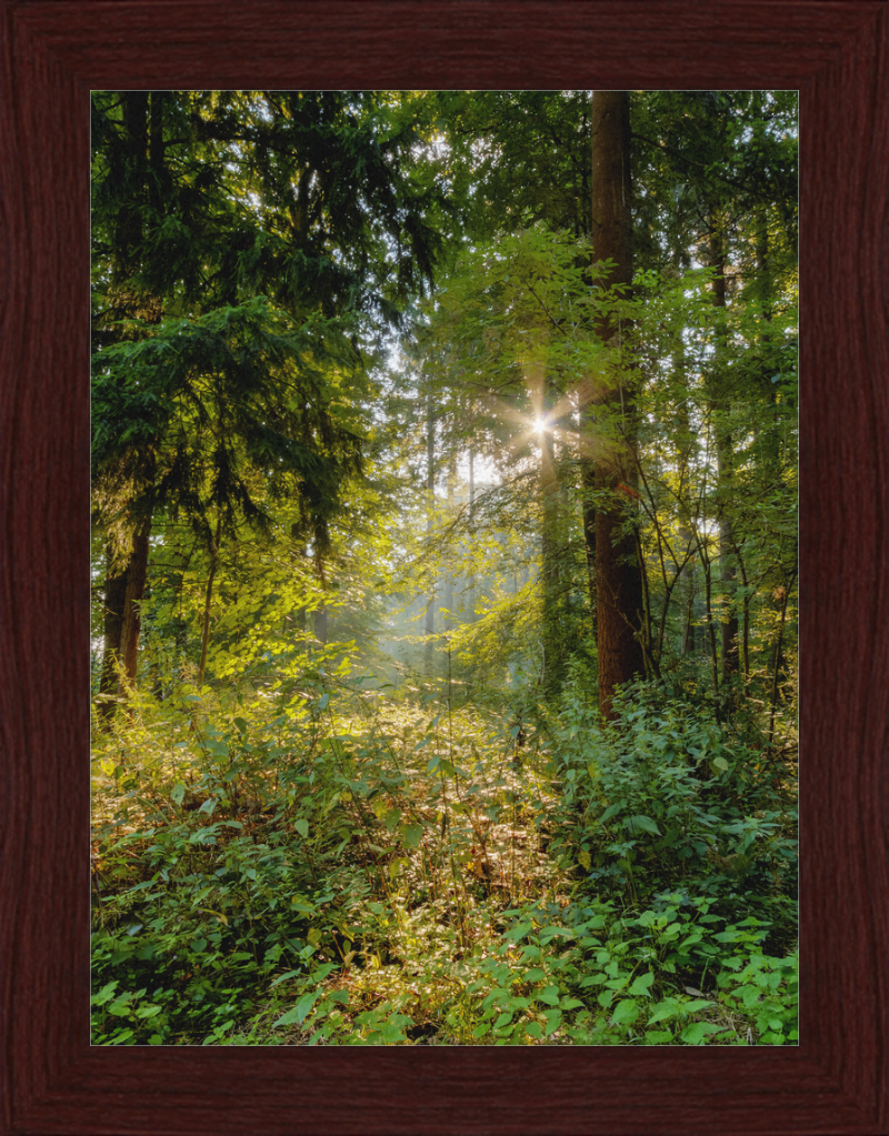 Dülmen, Göversheide - Great Pictures Framed