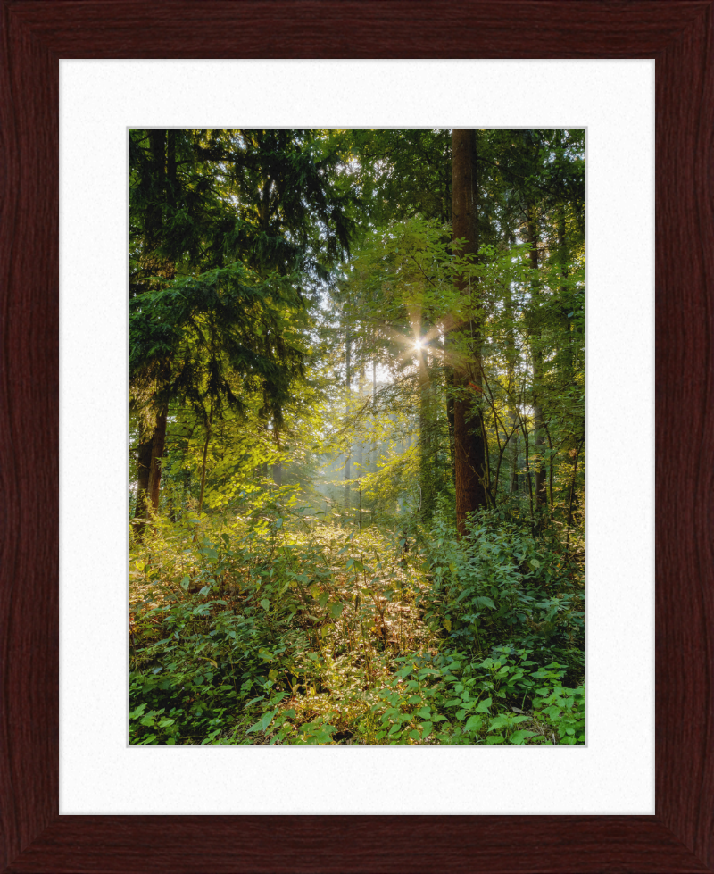 Dülmen, Göversheide - Great Pictures Framed