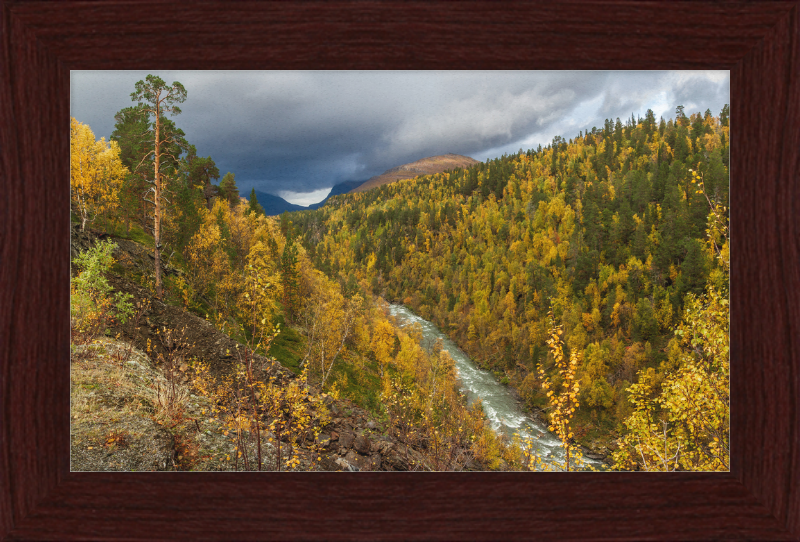 Graddiselva River in Junkerdalen, Saltdal, Nordland, Norway - Great Pictures Framed