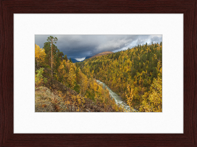 Graddiselva River in Junkerdalen, Saltdal, Nordland, Norway - Great Pictures Framed