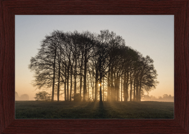 Dülmen, Umland - Great Pictures Framed