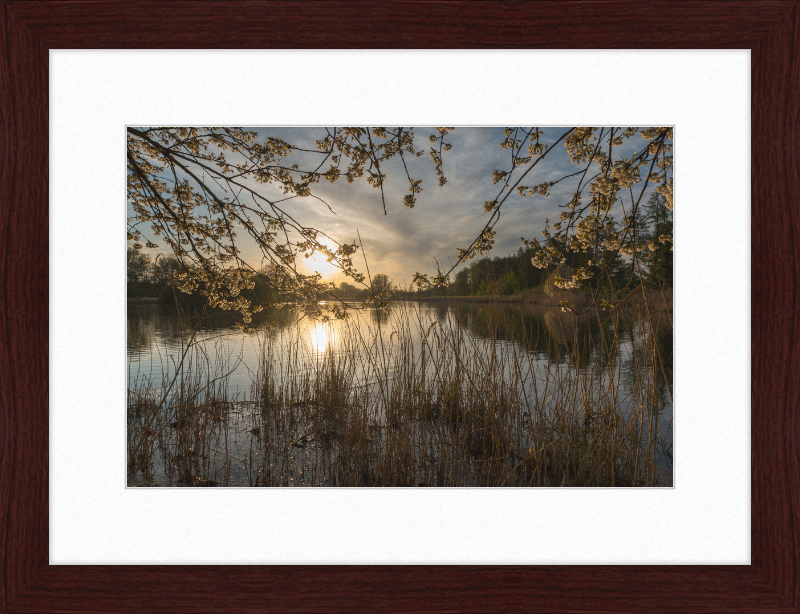 Oedlerteich in Kirchspiel, Dülmen - Great Pictures Framed