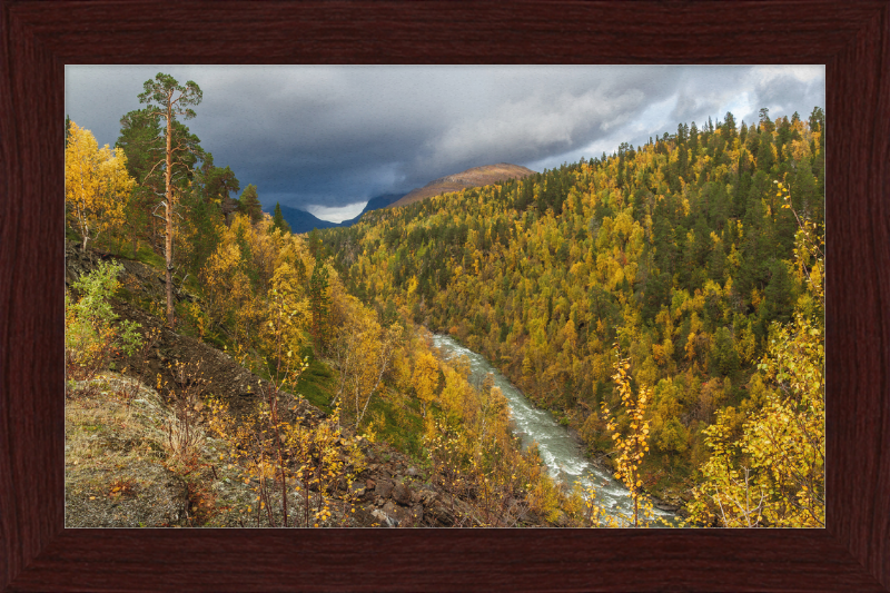 Graddiselva River in Junkerdalen, Saltdal, Nordland, Norway - Great Pictures Framed