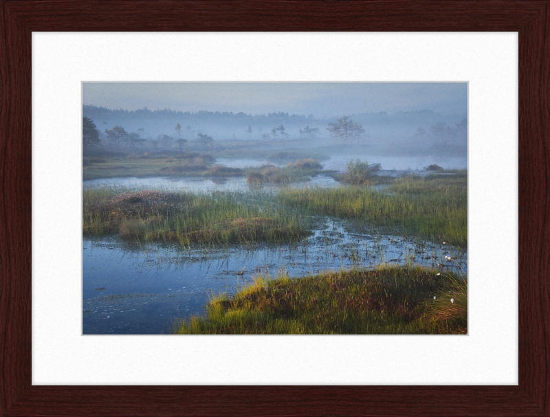 Riisa Bog in the Early Morning - Great Pictures Framed