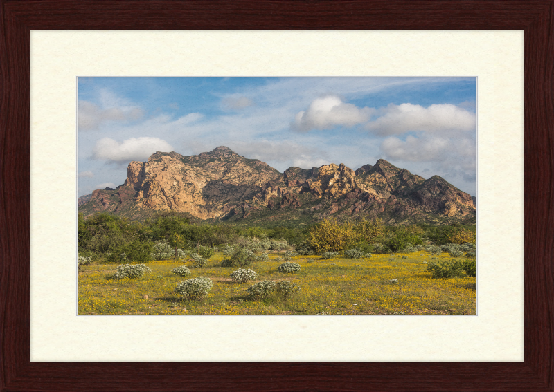 San Carlos Sonora Landscape - Great Pictures Framed