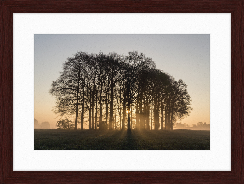 Dülmen, Umland - Great Pictures Framed