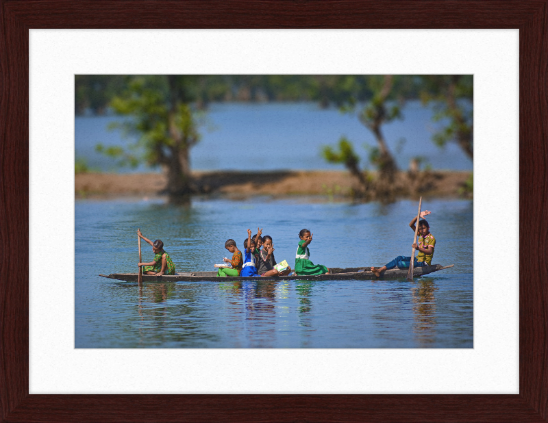 Ratargul - Great Pictures Framed