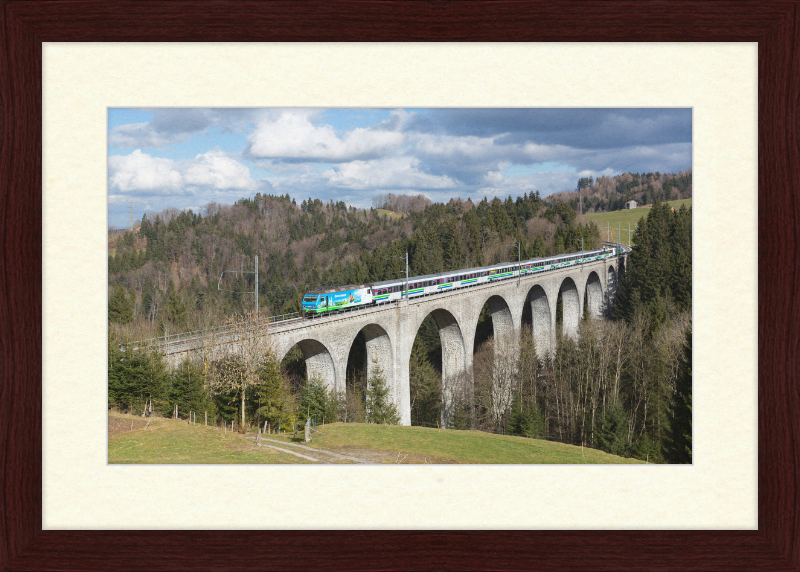 A Train Crosses the Wissbach Viaduct - Great Pictures Framed