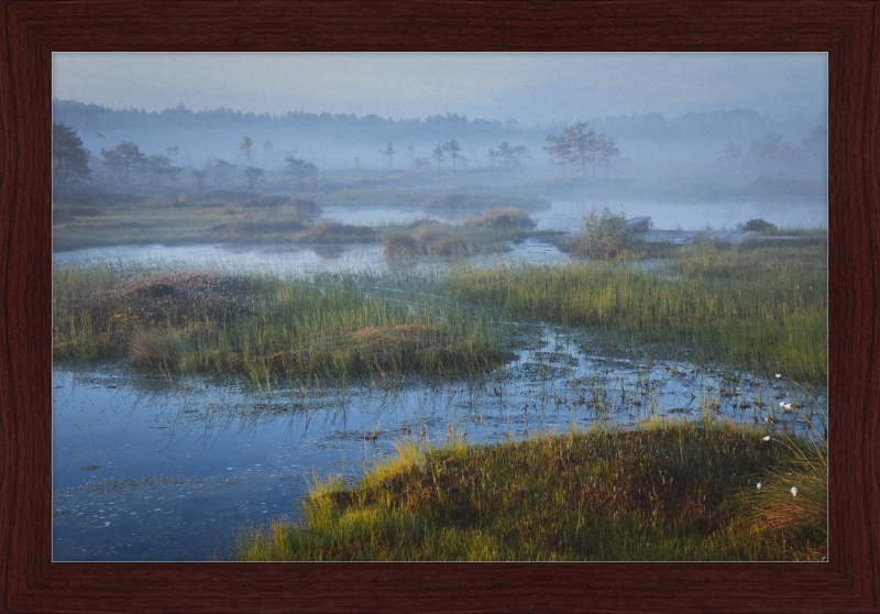 Riisa Bog in the Early Morning - Great Pictures Framed