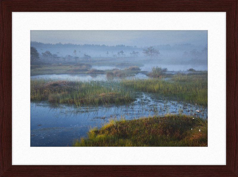 Riisa Bog in the Early Morning - Great Pictures Framed