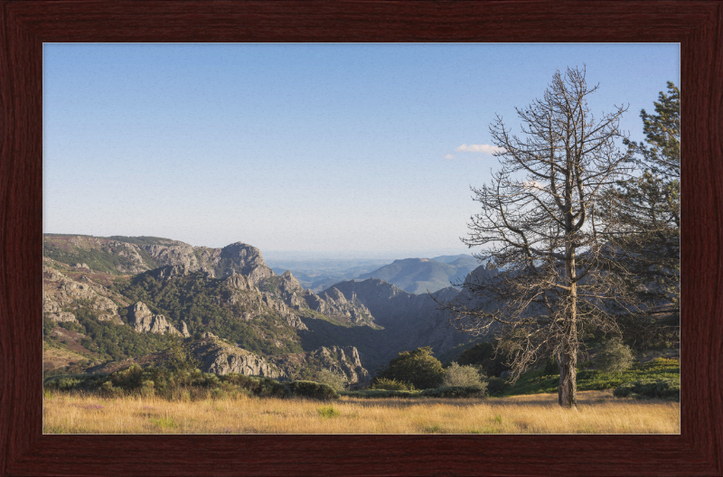 Haut-Languedoc - Great Pictures Framed