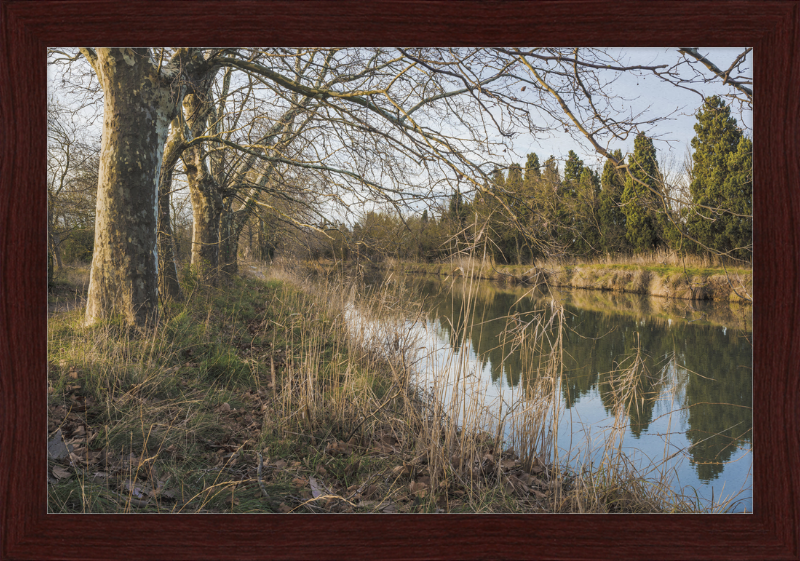 Canal du Midi - Great Pictures Framed