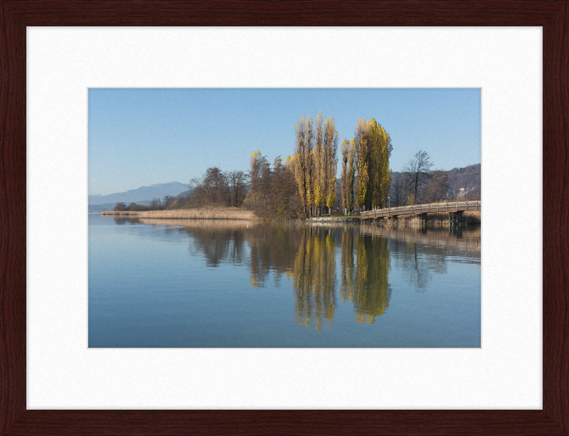 Pörtschach Promenadenbad Blumeninsel mit Pappeln - Great Pictures Framed