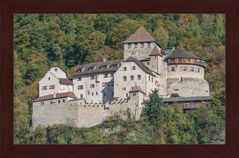 Vaduz Castle - Great Pictures Framed