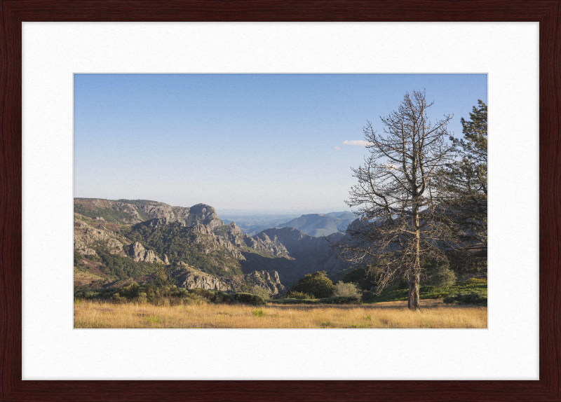 Haut-Languedoc - Great Pictures Framed