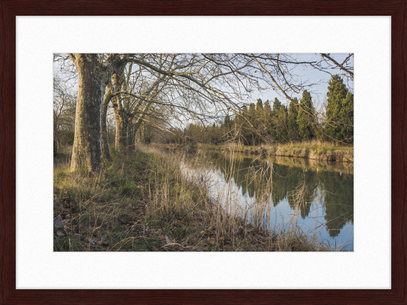 Canal du Midi - Great Pictures Framed