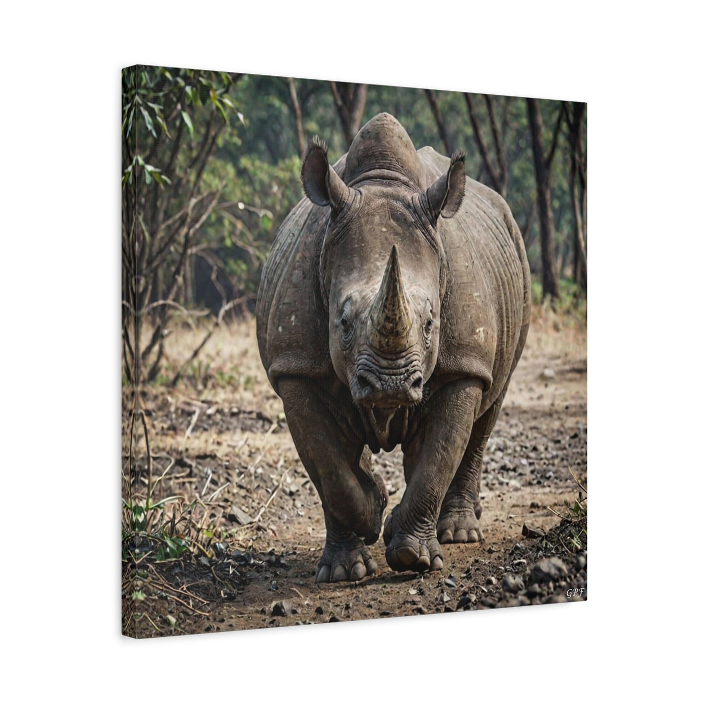 Indian Rhinoceros (170)