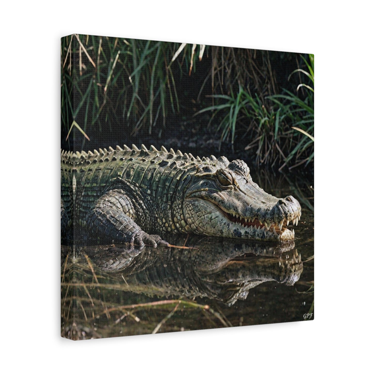 Crocodile (031)